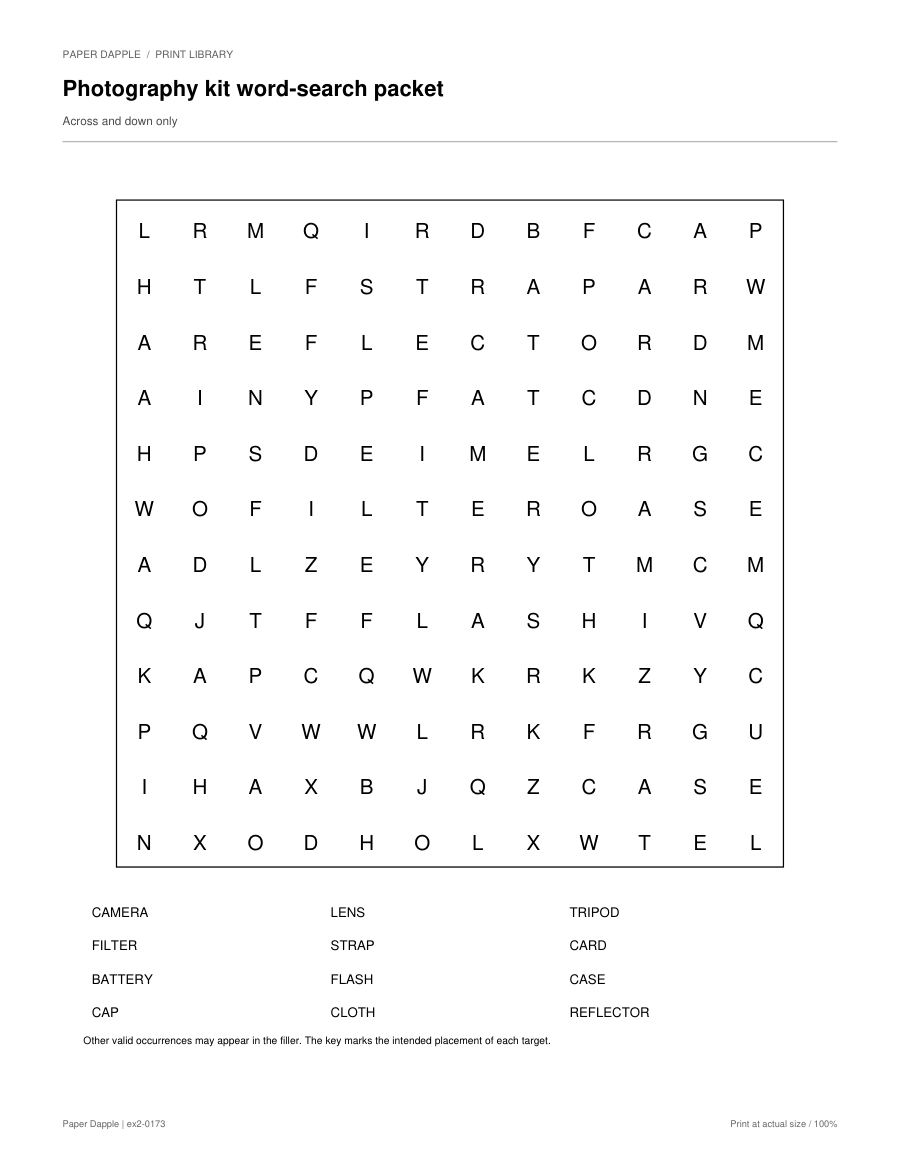 Preview of Photography kit word-search packet