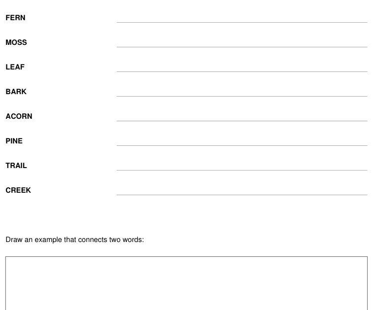 Preview of Woodland walk vocabulary and drawing sheet