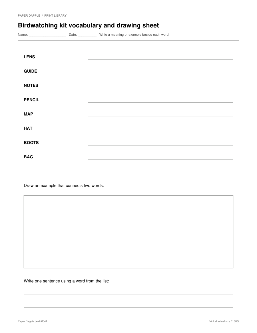 Preview of Birdwatching kit vocabulary and drawing sheet
