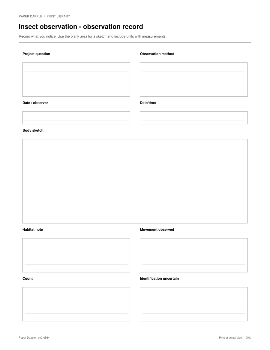 Preview of Insect observation - observation record
