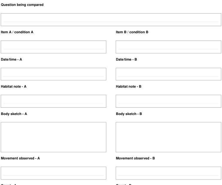 Preview of Insect observation - comparison sheet