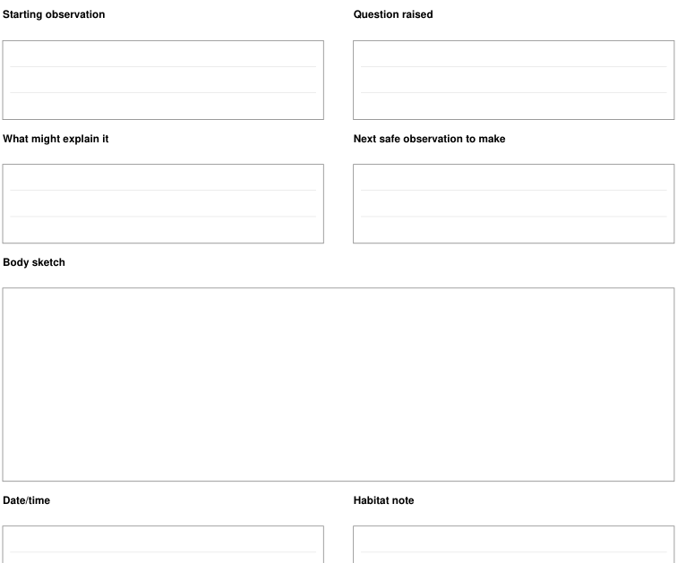 Preview of Insect observation - question and follow-up