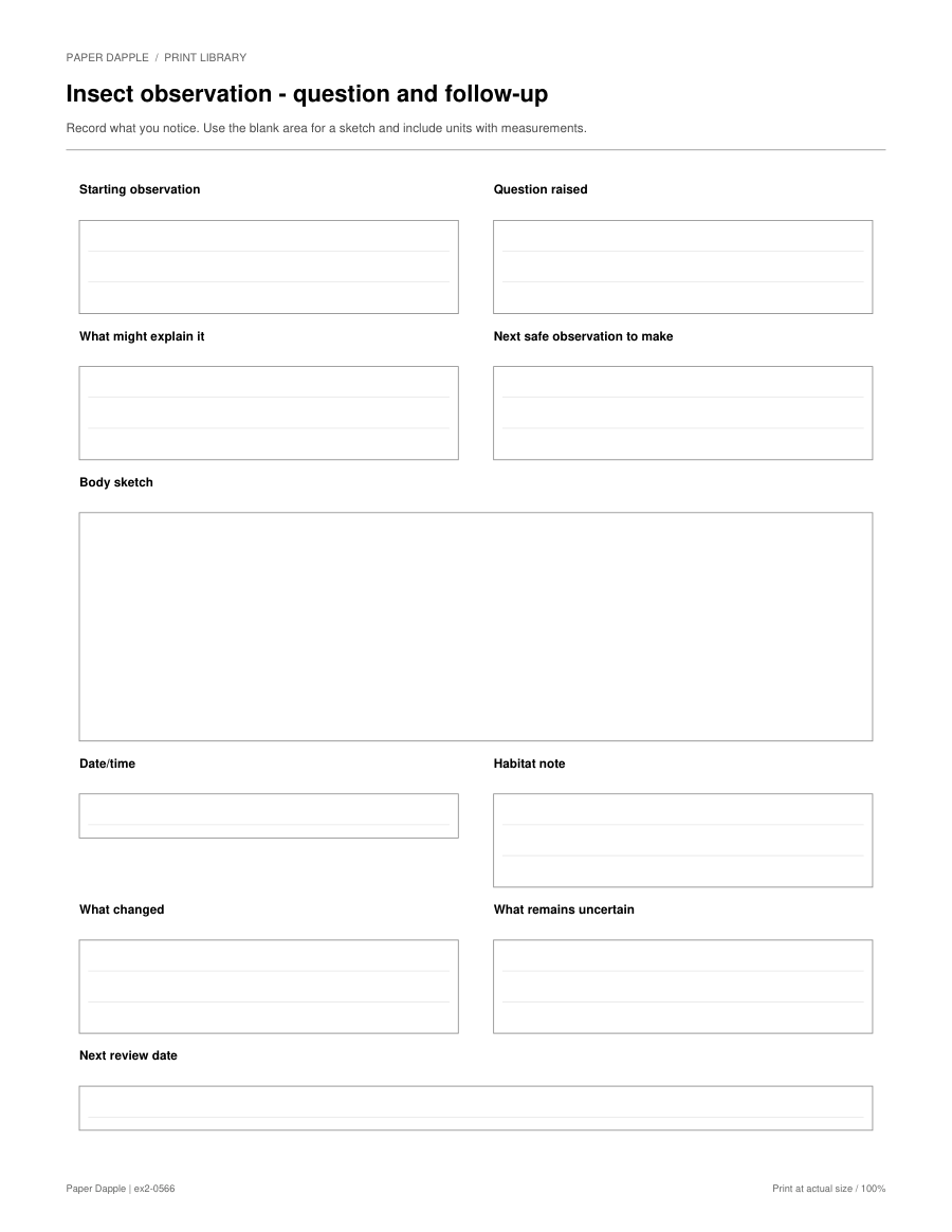 Preview of Insect observation - question and follow-up