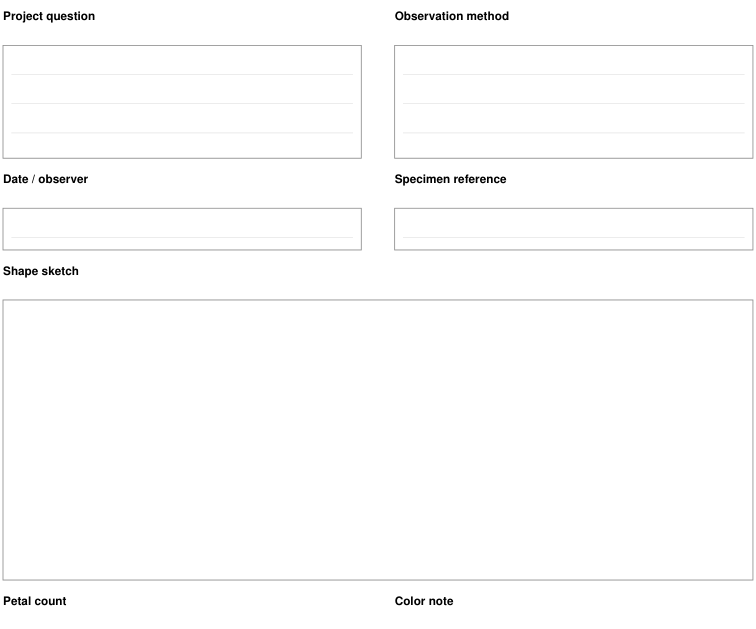 Preview of Flower structure observation - observation record