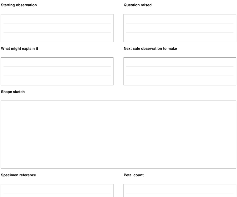 Preview of Flower structure observation - question and follow-up