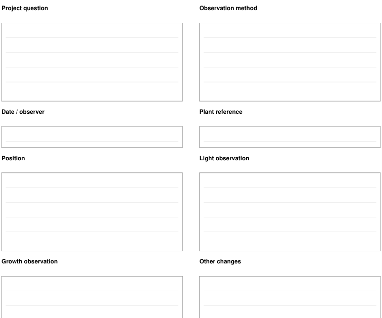 Preview of Sunlight-and-plant observation - observation record