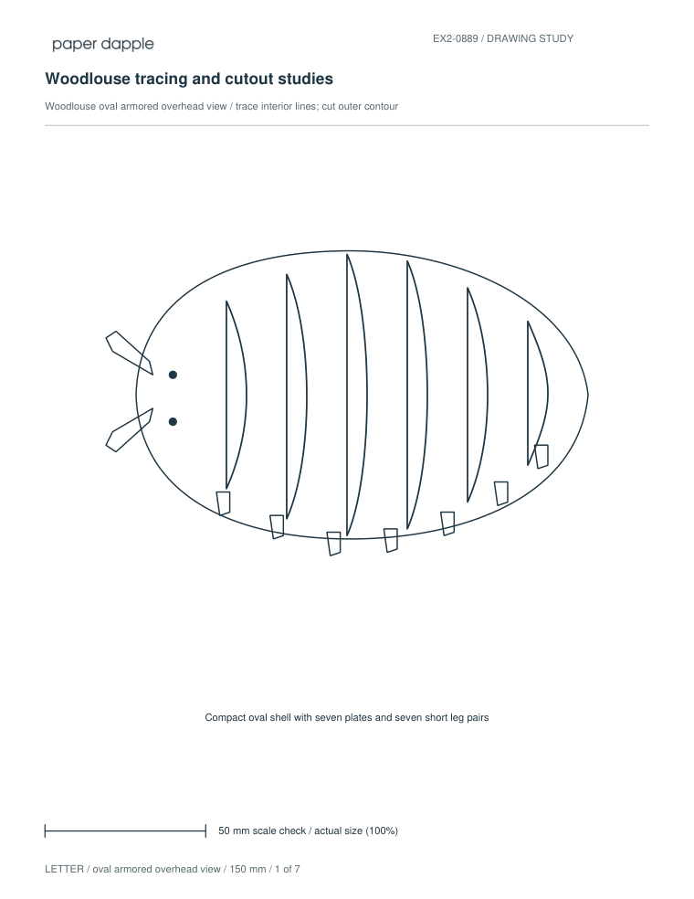 Preview of Woodlouse tracing and cutout studies