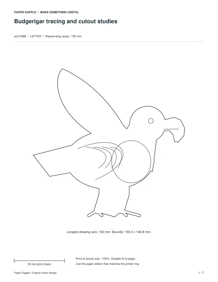 Preview of Budgerigar tracing and cutout studies