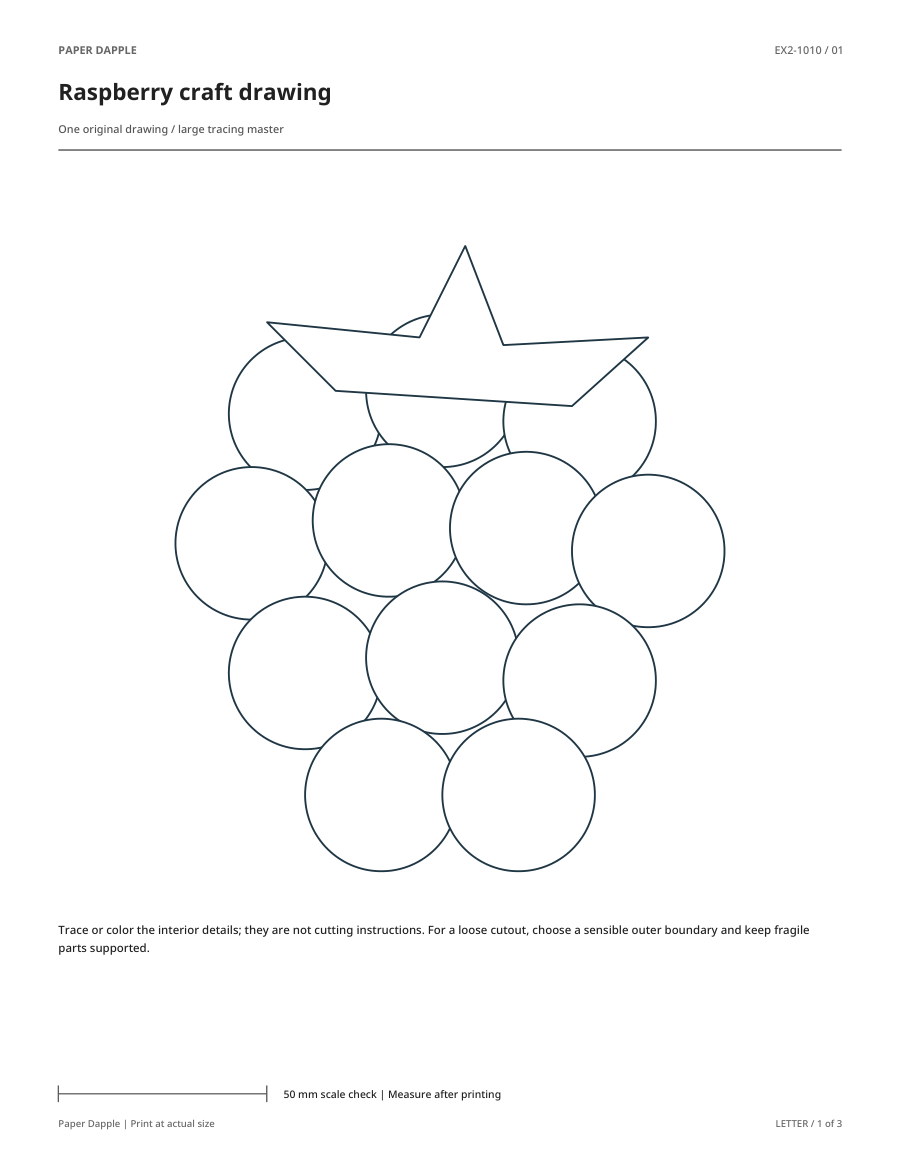 Preview of Raspberry craft drawing