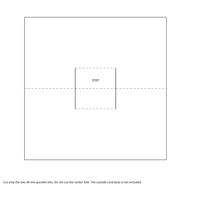Preview of Parallel-fold pop-up insert