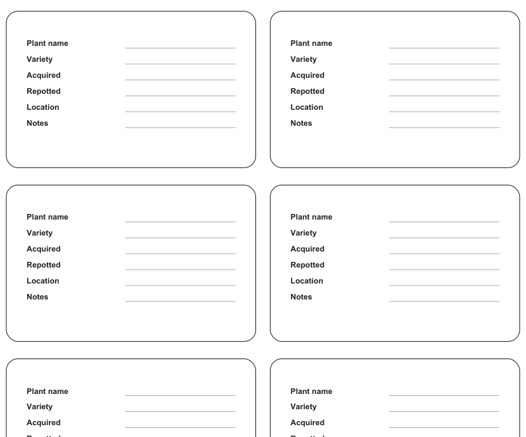 Preview of Houseplant identification cards