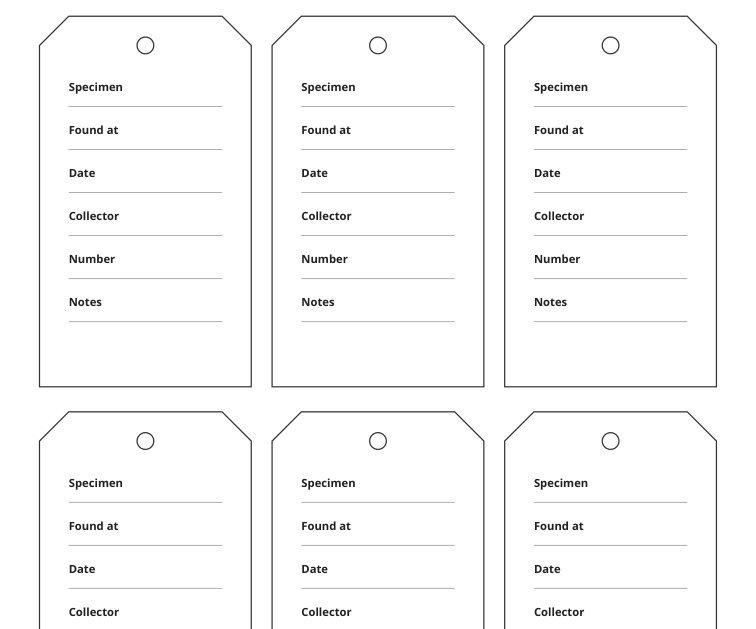 Preview of Natural collection specimen tags